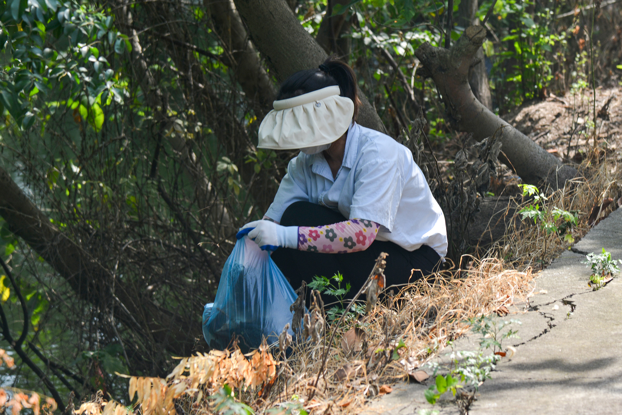 LQF_6549ab LQF_6549ab