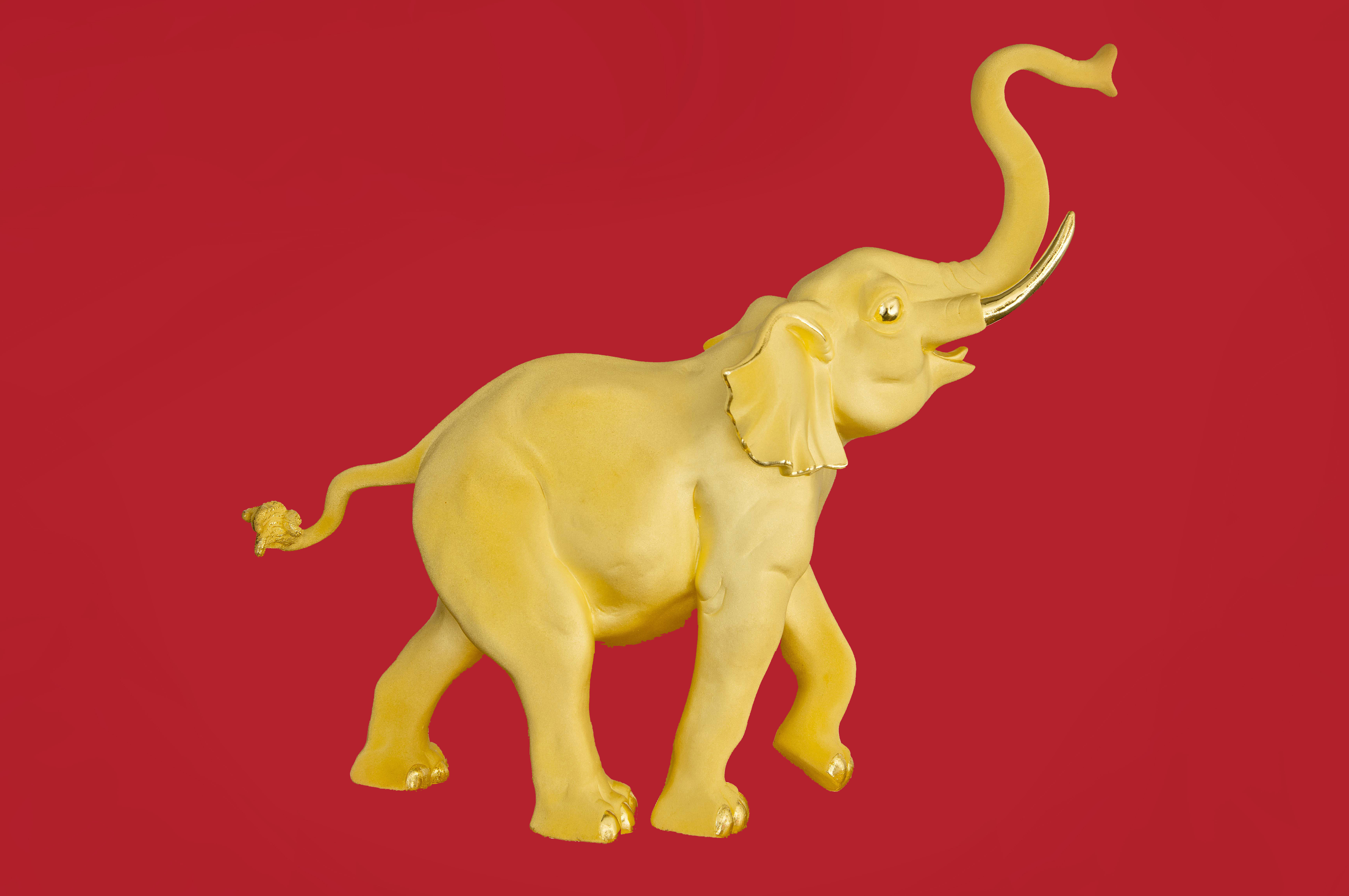 實(shí)干爭(zhēng)先 龍騰奮起——巨人集團(tuán)殊榮連連 實(shí)干爭(zhēng)先 龍騰奮起——巨人集團(tuán)殊榮連連